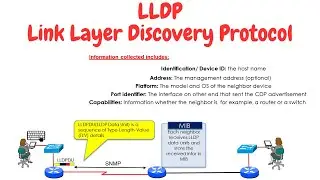 Link Layer Discovery Protocol (LLDP)