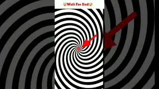 illusion Amazing Facts #viralvideo #shorts #factpuzzle