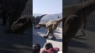 Dancing Dinosaurs in the Wild! 🦖😂 | Epic T-Rex Showdown #DinosaurDance #DinosaurLovers