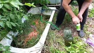 Вторая подкормка