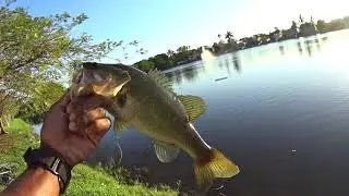 He Took my Catch | Bass Fishing TRD TicklerZ