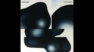 Peter Gall - Echoes of a Dystopian World