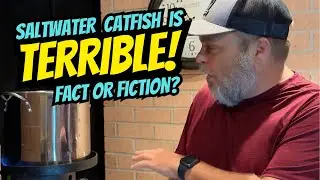Saltwater Catfish is Terrible... Fact or Fiction?