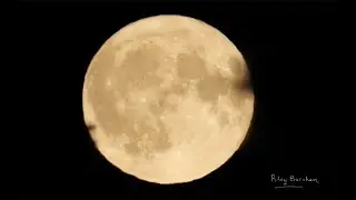 Strawberry Moon 2025