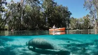Crystal River Springs Florida