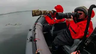 2025 Marine Tours - Northern Vancouver Island - Port McNeill BC