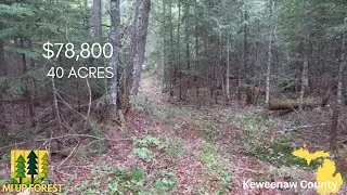 Недорогие земельные участки в Кивино, не подключенные к центральным сетям.