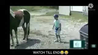 ruok ff horse be like