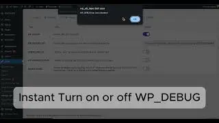 WordPres Debug Log Manager Tool
