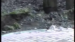 Nachdem Hochwasser in Alexisbad 1994
