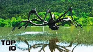 Top 10 Bizarre Creatures Found In The Bermuda Triangle - Part 2
