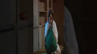 В чем ценность приезда в поисках убежища | Чайтанья Махапрабху | Джишу Сенгупта | Поран | Кальяни...