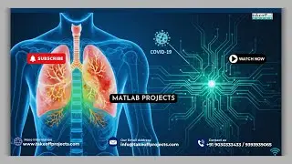Легковесная сверточная нейронная сеть для выявления заболеваний легких и COVID-19 | Быстрая и точ...