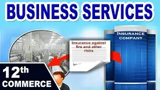 Business Services |12th Std Commerce  | Organization of Commerce | HSC