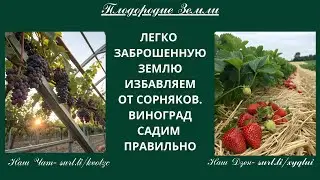 Барматуха возрождает хозяйства🔥С ней невозможное возможно №875/25