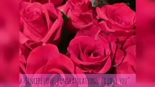 The Meaning of Red roses