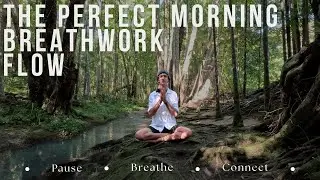 Guided 25 Minute Breathwork Flow - Australian Rainforest & River Sounds