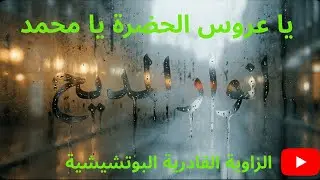 يا عروس الحضرة يا محمد 🌙 الطريقة القادرية البودشيشية #البوتشيشية