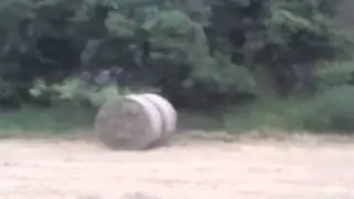 Dylan jumping hay bales