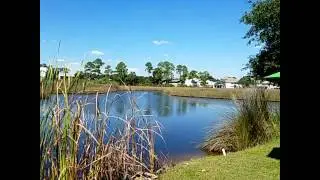 The Flying Harpoon  ~ Gulf Shores, Alabama