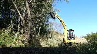 PC45MR＋FAEマルチャでの竹の伐倒と粉砕（山側）