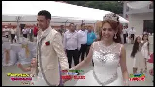 GUTA -  Bihoreana romai - MARIAN MEXICANU -  HORE -  JOCURI -  MANELE -  COSTA