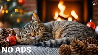 Calming Music For Cats 🌼 Music For Cats 🔔 Warm Minimal Ambience Designed For Peaceful Cat Sleep