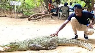 This Country Is Literally The Smiling Coast Of Africa | THE GAMBIA Vlog 🇬🇲