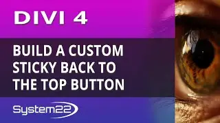 Divi 4 Theme Build A Custom Sticky Back To The Top Button