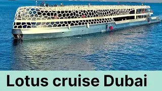 # Day 1 in dubai # lotus cruise Dubai ⛴️##jatin's journey 