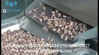 Easy to operate cashew roaster peanut drying machine electromagnetic oven
