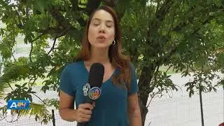 Arma apreendida no Parquer das Brom&eacute;lias | ARATU 24 HORAS | TV ARATU