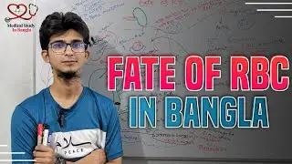 Fate of RBC in bangla