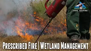 Prescribed Fire | Managing Wetlands In The Rainwater Basin