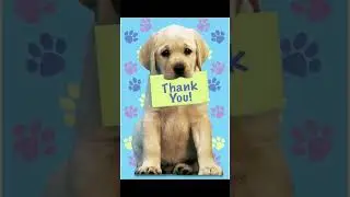 🐶🐾💖 THANK YOU 💖🐾🐶20,000+ SubscribersWe love you all ❤️ #funny #pets #dogshorts