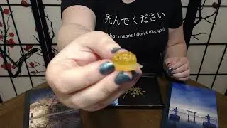 Tsuki no Ame 243 Meigum Sushi Gummy
