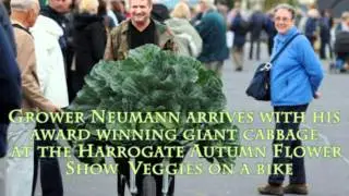 The Secrets of Growing Giant Vegetables
