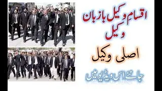 Different Types of Advocates Explained by An Advocate | Who is a real Advocate | اصلی وکیل