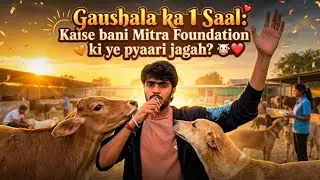 1 Year of Our Gaushala Journey: How Mitra Foundation Started Animal Rescue🐮❤️