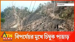 বিপর্যেয়র মুখে চিম্বুক পাহাড়, নষ্ট হচ্ছে সুপেয় পানির উৎস | Chimbuk Hill Bandarban | ATN News