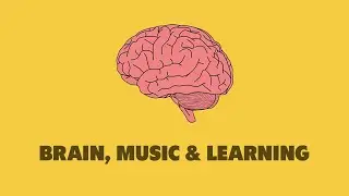 Learning and Improvisation - Discussing with prof. Psyche Loui