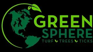 Why work at Green Sphere?