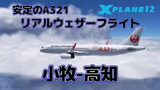 悪天候でも安定のA321 Real Weather Flight 名古屋小牧-高知 RJNA-RJOK