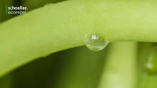 schoeller&reg;-ecorepel&reg; | ECOLOGICAL WATER & DIRT REPELLENCE