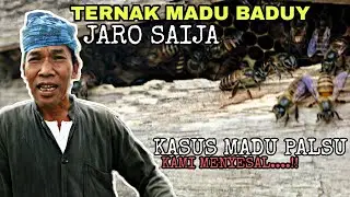 WARGA BADUY MULAI TERNAK LEBAH MADU #JAROSAIJAH
