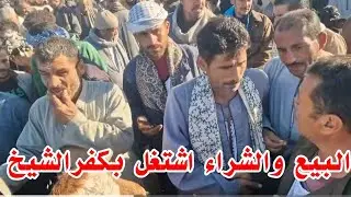 شكلك عايز تغرزه في الروبه وتشيله الطين فوق راسه الان من كفرالشيخ امال سمعتوا اسعار مرزوق بطه بقا 