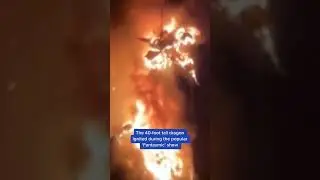 A fire-breathing animatronic dragon bursts into flames at Disneyland. No one was injured #shorts