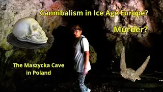Murder? Cannibalism in Ice Age Europe? The Maszycka Cave in Poland.