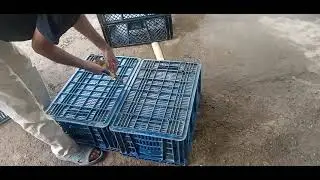 Como hacer una jaula con 4 cajas plásticas 👉cages with plastic baskets or fruit bowls 👈