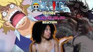 SABOS ABSENCE EXPLAINED! KAIDO REVEAL!! | ONE PIECE EPISODE 735, 736, 737, 738, 739 REACTION